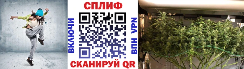 Где можно купить наркотики Шуя Cocaine  LSD-25  Alpha-PVP  Бошки Шишки  ГАШИШ  АМФ 