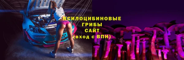 PSILOCYBIN Аркадак