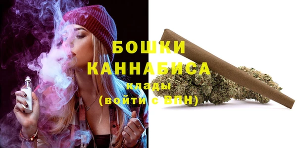 PSILOCYBIN Аркадак